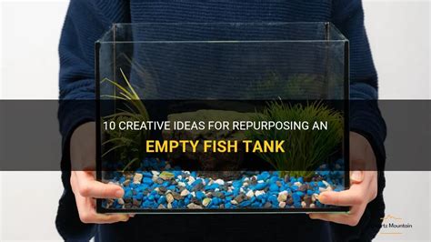 empty fish tank|The Step.